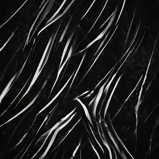 black and white iphone wallpaper