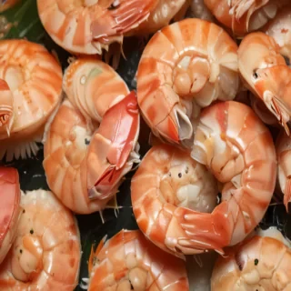 shrimp png