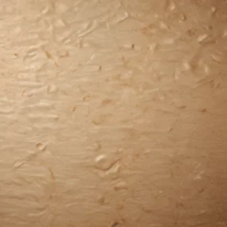 grain paper texture