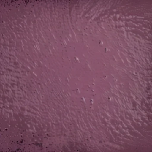 mauve background