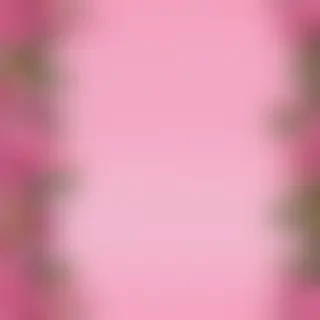 pink background cute