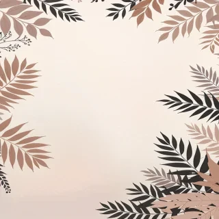 aesthetic neutral backgrounds