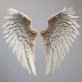 png angel wings