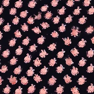 iphone wallpaper