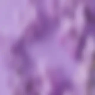 aesthetic lilac wallpaper