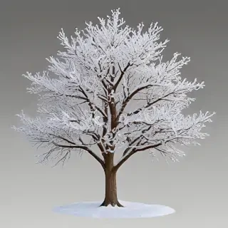 winter tree png