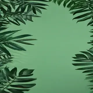 green background aesthetic