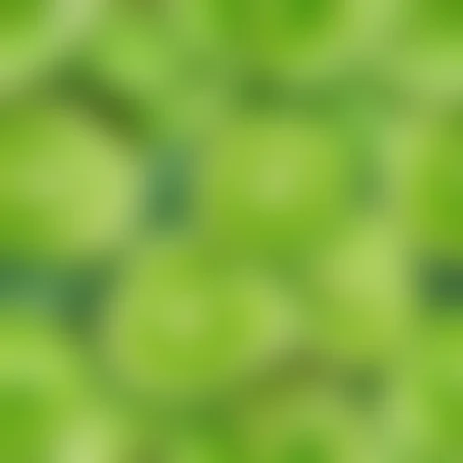 lime green background