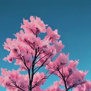 blue aesthetic backgrounds