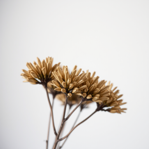 Capture a close-up shot of a dried flower arrangement with five branches showcasing delicate brown petals against a soft blurred background, using a DSLR camera, f/2.8 aperture, ISO 100, 50mm lens, natural lighting for enhanced texture and detail.