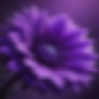 purple lockscreen
