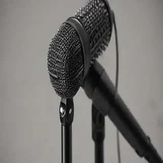 microphone .png