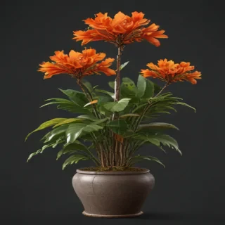 plant png clipart