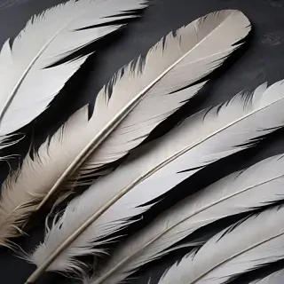 feather background