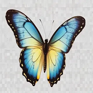 transparent background butterfly png