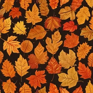 fall leaf png