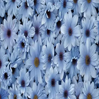 blue flower wallpaper aesthetic