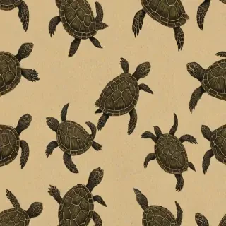 turtle background