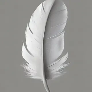 feather png