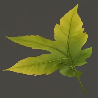 leaf png transparent
