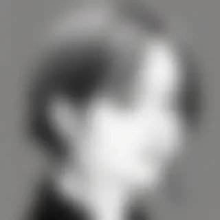transparent line art