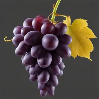 grape png