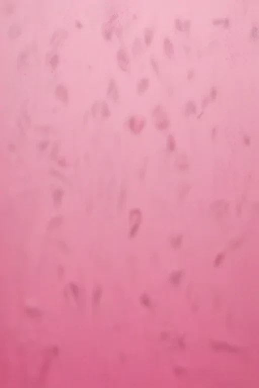 pink blank background