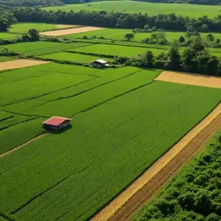 farmland png
