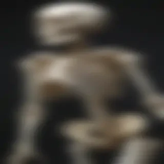 skeleton wallpaper