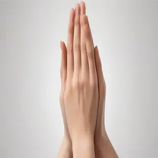 praying hands transparent background