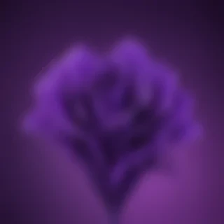 wallpapers for iphone purple