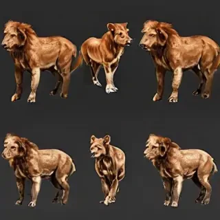 animal png