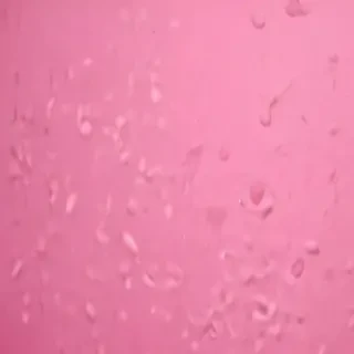pink iphone background