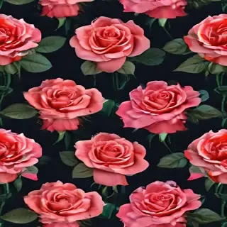 roses background
