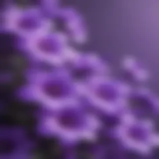 purple flowers background