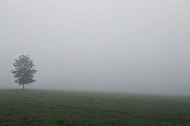 foggy background