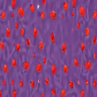 naughty background