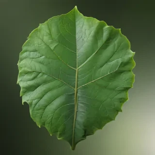 green leaf design