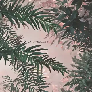 fondos aesthetic