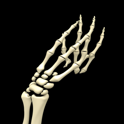 skeleton hands png