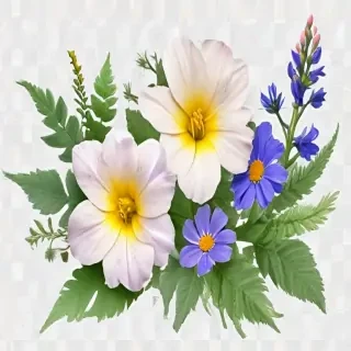 wild flower png