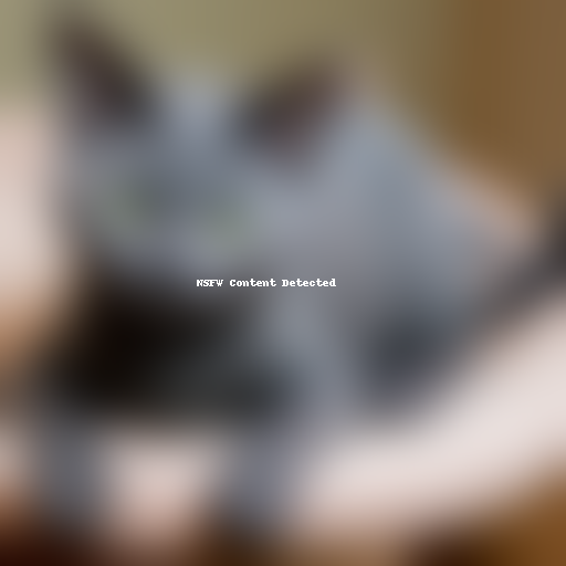 korat cat breed