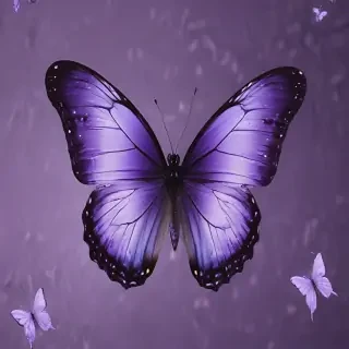 aesthetic purple butterfly
