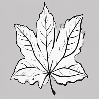 clipart leaf black and white