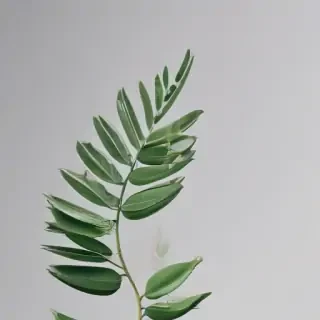minimal wallpaper iphone 4k
