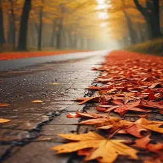 autumn wallpaper phone