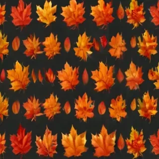 fall leaves png transparent