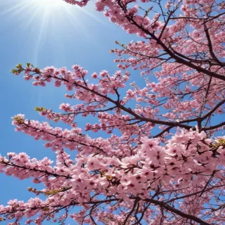 spring iphone background