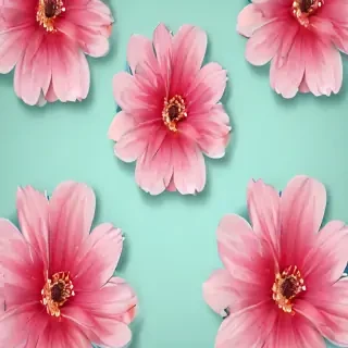 pretty wallpaper iphone