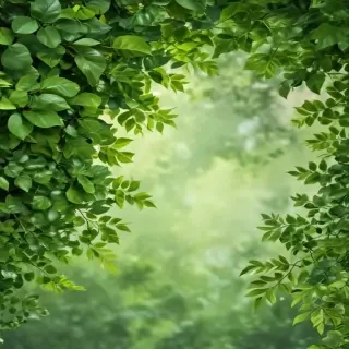 background green leaves